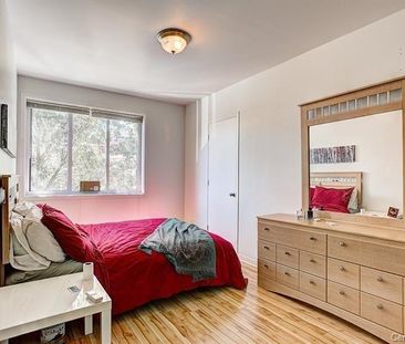 29 Rue Ste Anne - Photo 3
