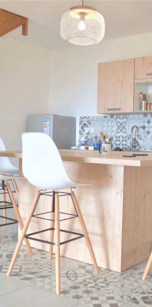 Location Appartement 1 pièce 40m² STE CLOTILDE 97490 - Photo 1