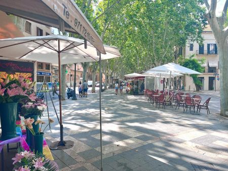 1 Carrer dels Horts, Palma de Mallorca, Balearic Islands 07003 - Photo 3