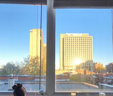 Grand / Big “ 4 1/2 “ au centre ville/ in downtown - Photo 1