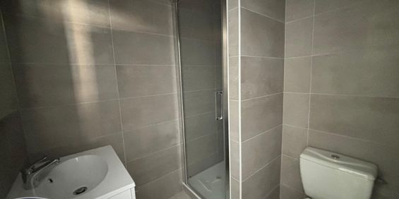 Location Appartement 1 pièce 17m² CHALON SUR SAONE 71100 - Photo 3