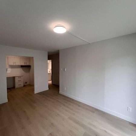 Fully Renovated 3½ Apartments Available (1-Month Free Rent) - A louer • For Rent - Photo 4