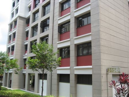 Blk 315B Teck Ghee Vista (Ang Mo Kio), HDB 4 Rooms - For Rent - Photo 5