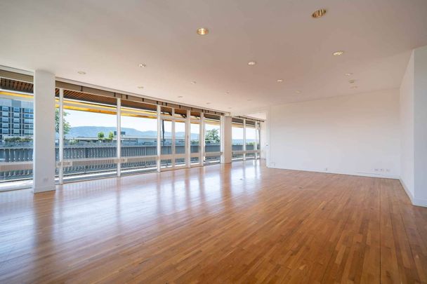 Appartement de 8 pièces vue lac - Photo 1