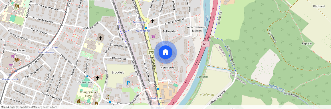 Zollweidenstrasse 29, 4142 Münchenstein