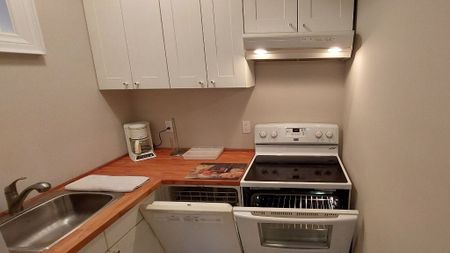 For Lease - 176 Alfred Avenue Unit# Bsmt, Toronto, Ontario - Photo 5