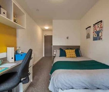 Bronze Studio - Photo 5