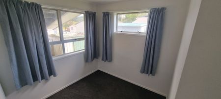 45 Collie Drive, Pukehangi - Photo 5