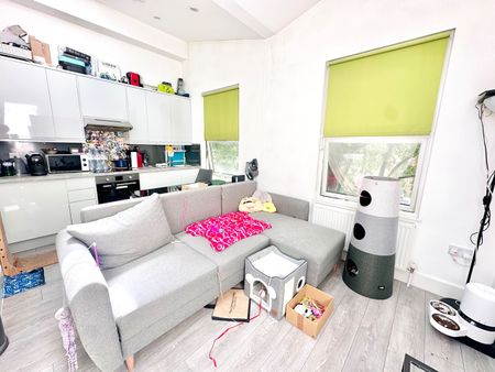 1 Bed Flat, Dalling Road, W6 - Photo 3