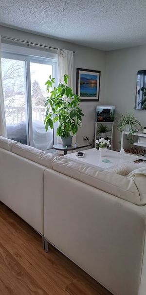 BEAU GRAND 2 Chambres JUIN OU JUILLET - Photo 1