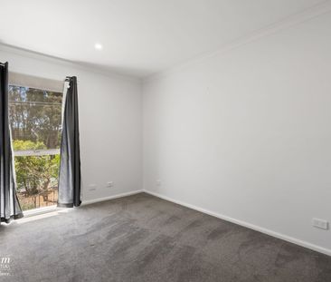 50 Pethebridge Street, Pearce ACT 2607 - House For Rent | Domain - Photo 6