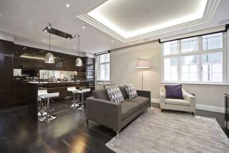 Eccleston Street, Westminster, SW1W - Photo 3