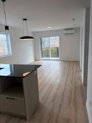 540 Rue Saint-Michel, Sherbrooke, (Vacant) QC J1E 2L1 - Photo 1