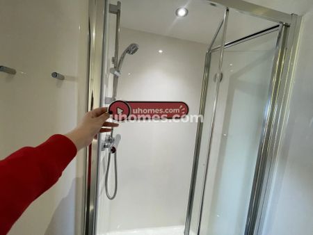 Standard Plus Studio - Photo 5