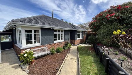 A beauty on Bridger Street - Photo 4