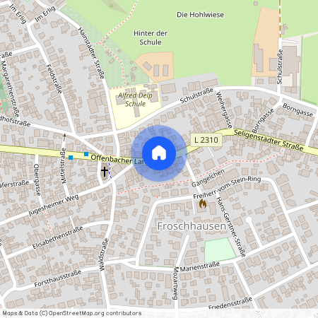 63500, Seligenstadt Froschhausen Hessen