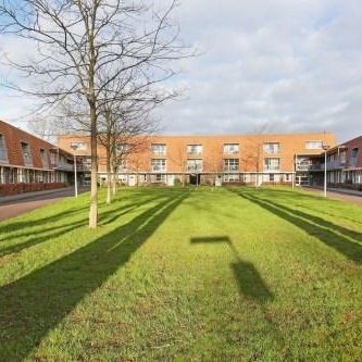 Pieter Lakplantsoen 0ong, 1502 ED Zaandam, Nederland - Foto 2