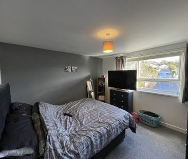 6 Shelburne Court - Photo 3