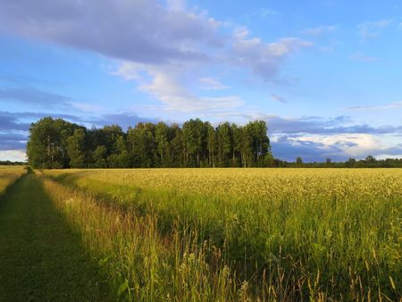 Talby: Ljus härlig trea i lantlig miljö - Photo 3