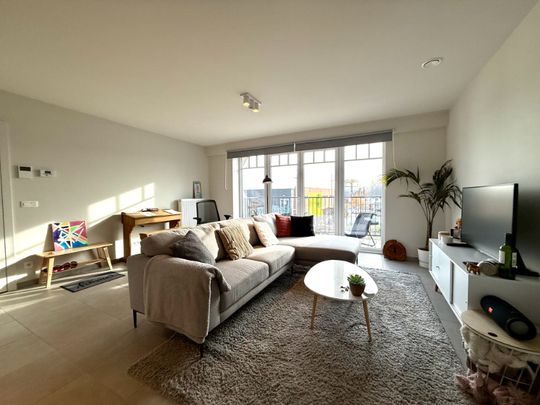 Duplex te huur in Zingem - Photo 1