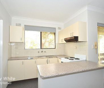 Updated Two Bedda! - Photo 5