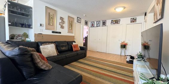 Antoine-du Verdier Appartement 4 ½ à Louer Sainte-Foy / Sillery Juillet 2026 - Photo 3