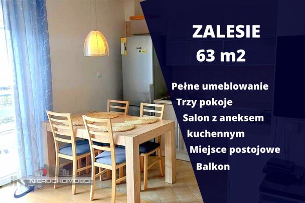 Rzeszów, Zalesie, Forsycji - Zdjęcie 1