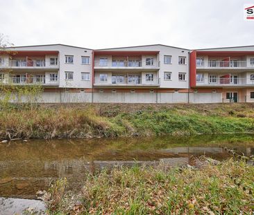 Wunderschöne geförderte 2 Zimmerwohnung für Betreutes Wohnen - Foto 4