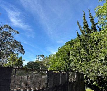 Modern Studio Living – Mount Roskill - Photo 6