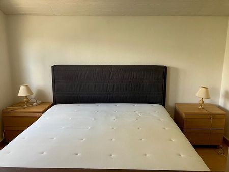 Villa de 6 pièces à louer au Grand-Saconnex - Photo 2