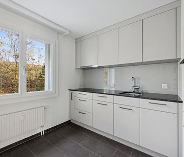 Neu sanierte Wohnung in Thürnen zu vermieten! - Photo 1