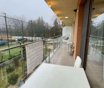 Apartament Club Lac Snagov- Proprietar-Deschidere lac+Piscina-2 camere - Photo 2