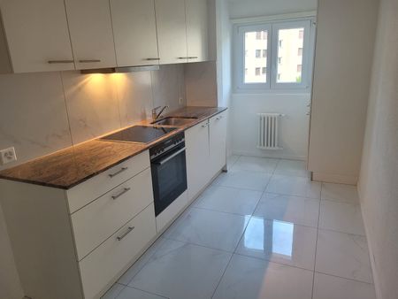 2 Zimmer, EG - Photo 5