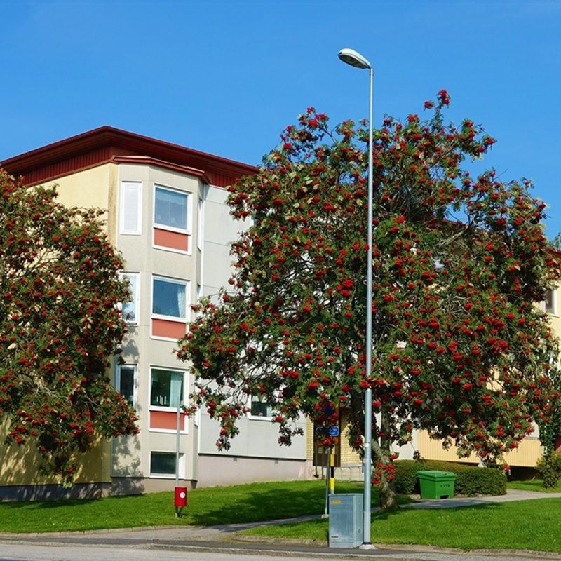 Nillas Väg 30 D - Foto 2