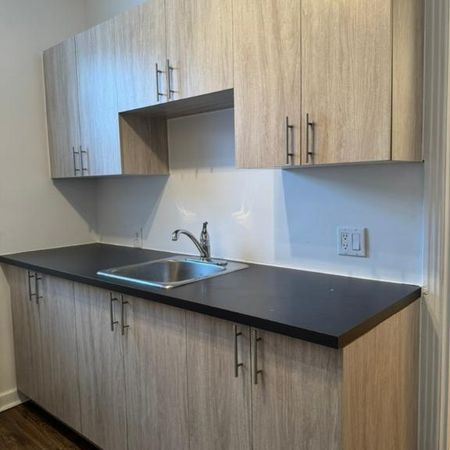 4 1/2 À LOUER, CÔTE-DES-NEIGES, DEUX CHAMBRES, LIBRE MAINTENANT - Photo 3