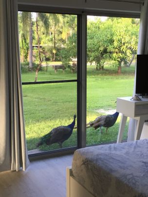 White Rock - Photo 1