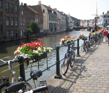 Renovatie op woonerf nabij Vrijdagsmarkt! - Photo 1