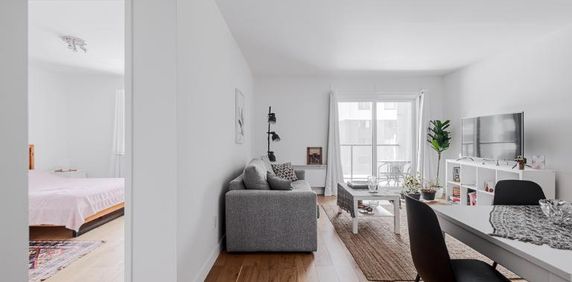 Appartement 3 ½ à louer Sainte-Foy / Sillery juillet 2026 - Photo 2