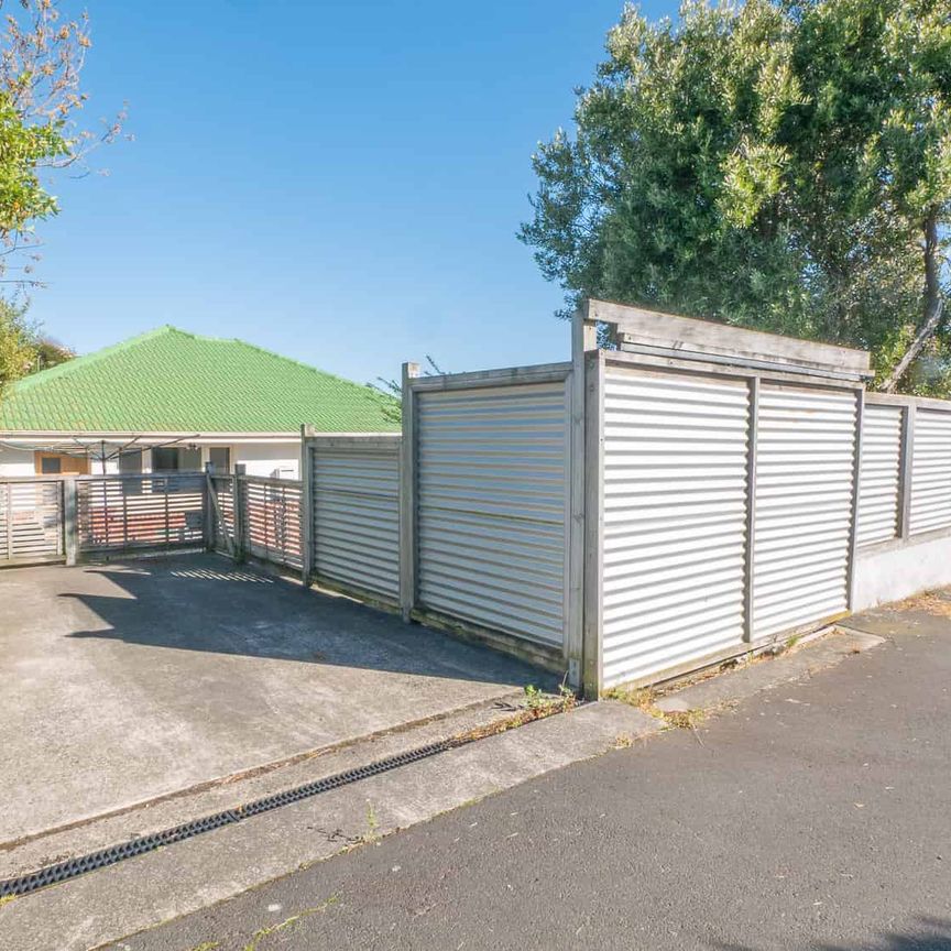 Sunny, Low-Maintenance Home and Ample Parking - Photo 1