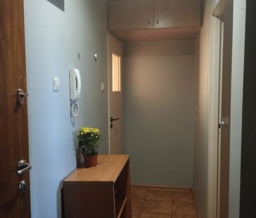 2 pok. mieszkanie na Nowym Dworze - Zdjęcie 5