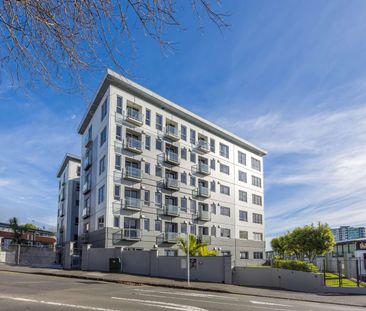 Bright & Sunny 1-Bedroom Apartment - Photo 5