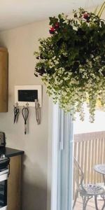 ** MAISON À LOUER CUL DE SAC ** - Photo 3