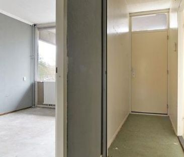 Brammershoop 2036 BG Haarlem - Photo 6