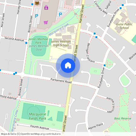 54 Harold Street, NSW 2564, Macquarie Fields