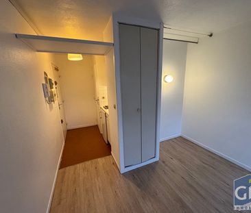 Location Appartement 1 pièce 18m² - Photo 3