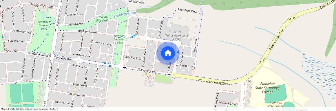 14 Cane Place, Qld 4553, Palmview