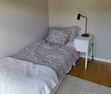 Filgränd, Umeå - Foto 3