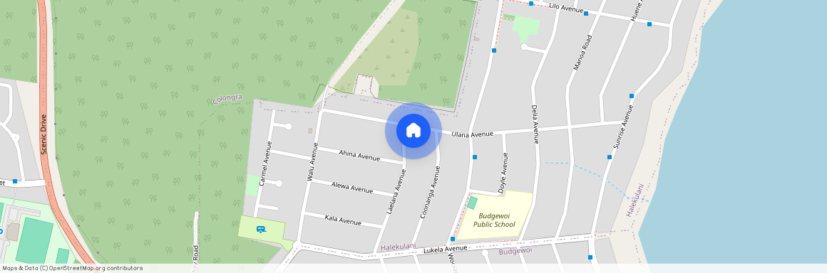 105 Laelana Avenue, Halekulani 2262, New South Wales