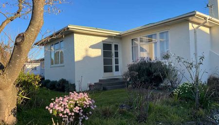 Home in Awapuni - Photo 4