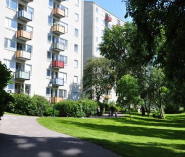 Doktor Liborius Gata 9 - Photo 1